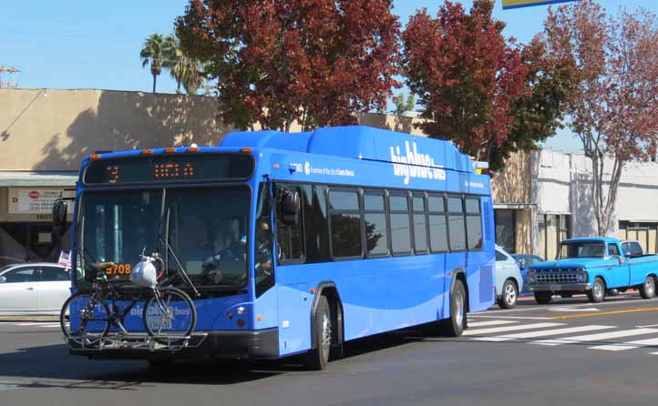 Big Blue Bus Gillig BRT 1343